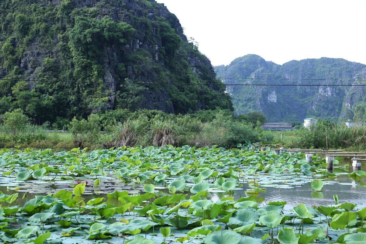 Ham Rong Homestay Ninh Binh Exterior photo