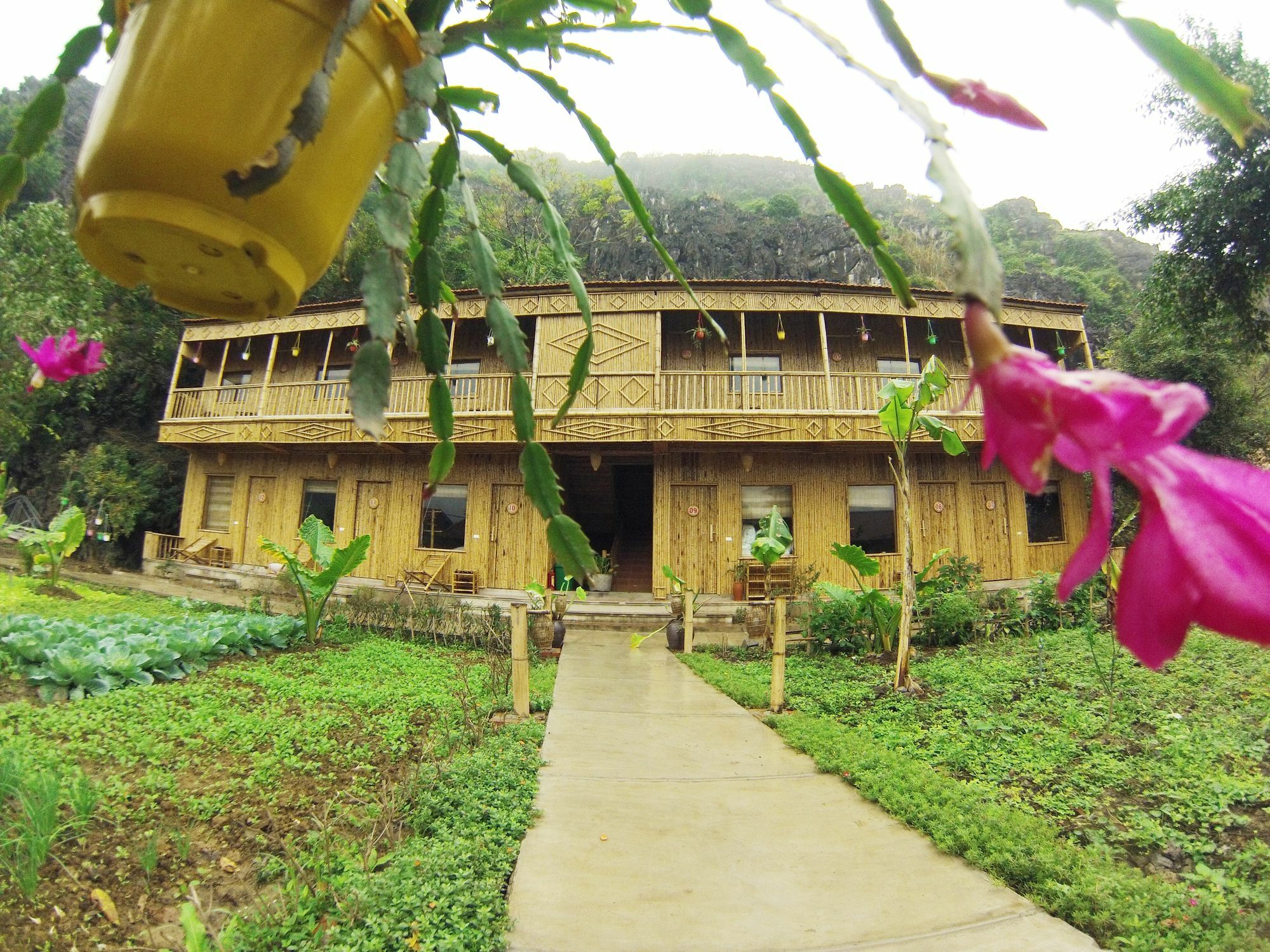 Ham Rong Homestay Ninh Binh Exterior photo